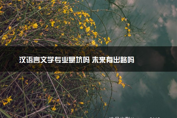 汉语言文学专业是坑吗 未来有出路吗