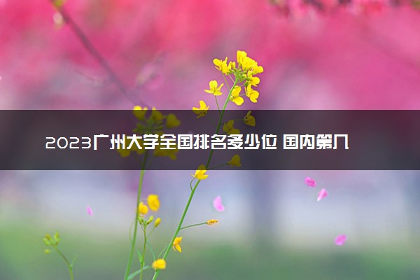 2023广州大学全国排名多少位 国内第几名