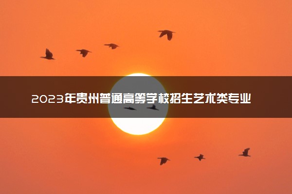 2023年贵州普通高等学校招生艺术类专业统考简章
