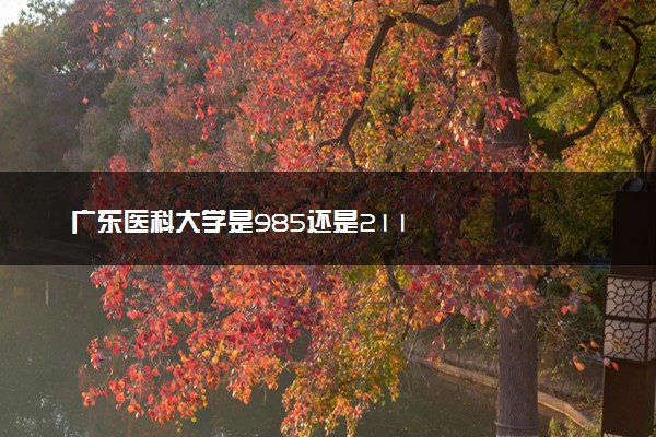 广东医科大学是985还是211