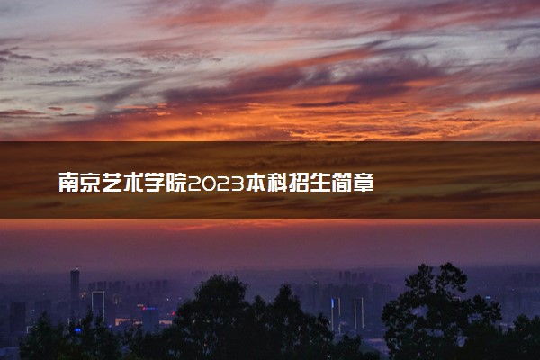 南京艺术学院2023本科招生简章