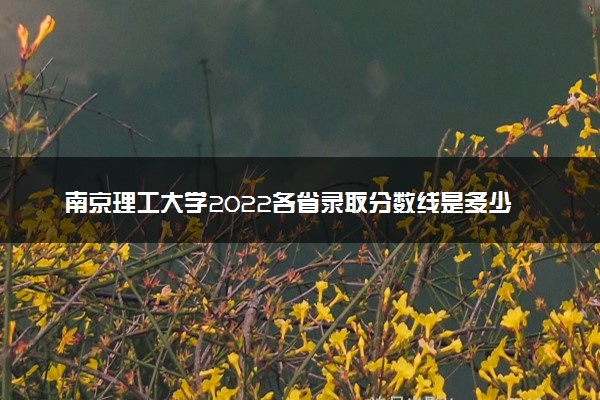 南京理工大学2022各省录取分数线是多少 投档最低分及位次
