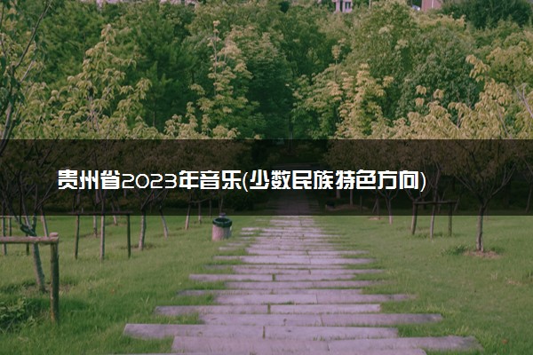 贵州省2023年音乐（少数民族特色方向）统考一分一段表 成绩统计表