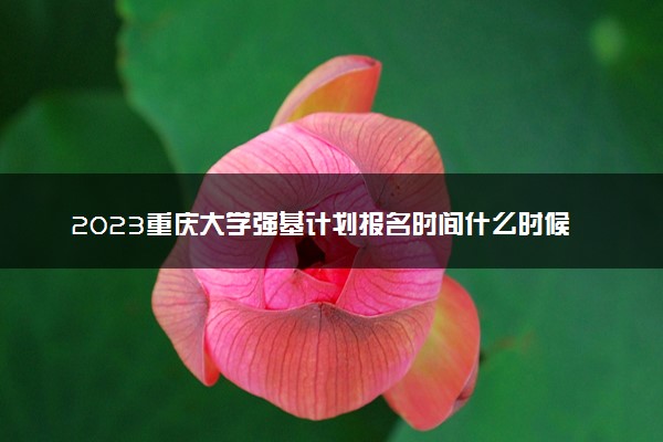 2023重庆大学强基计划报名时间什么时候 报名网址入口