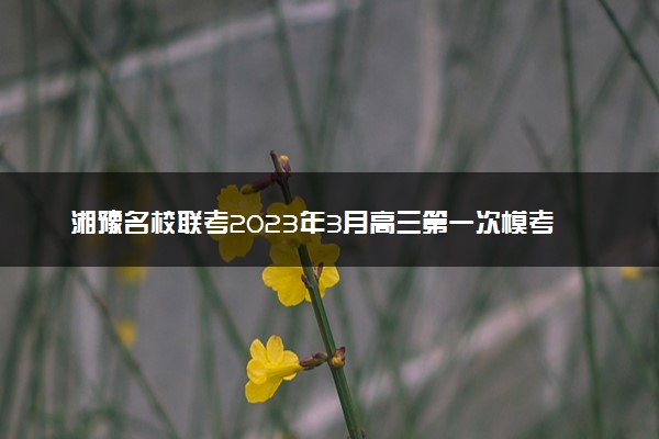 湘豫名校联考2023年3月高三第一次模考地理试题参考答案及解析