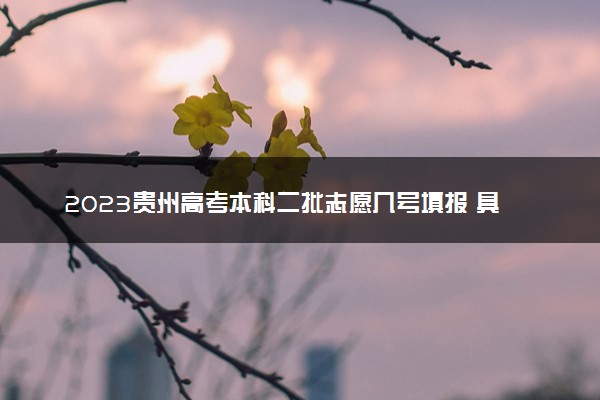 2023贵州高考本科二批志愿几号填报 具体填报时间什么时候