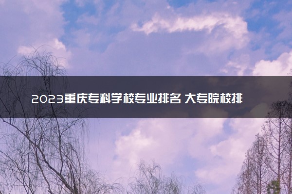 2023重庆专科学校专业排名 大专院校排名