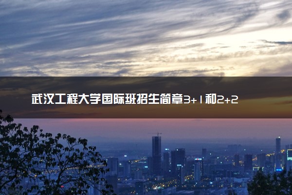 武汉工程大学国际班招生简章3+1和2+2留学