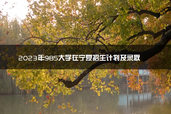 2023年985大学在宁夏招生计划及录取分数线