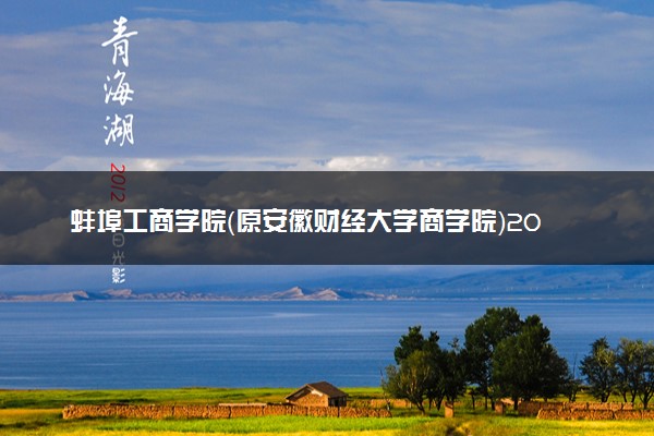 蚌埠工商学院（原安徽财经大学商学院）2023年招生章程