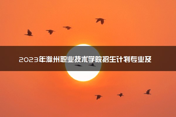 2023年滁州职业技术学院招生计划专业及各省录取分数线位次