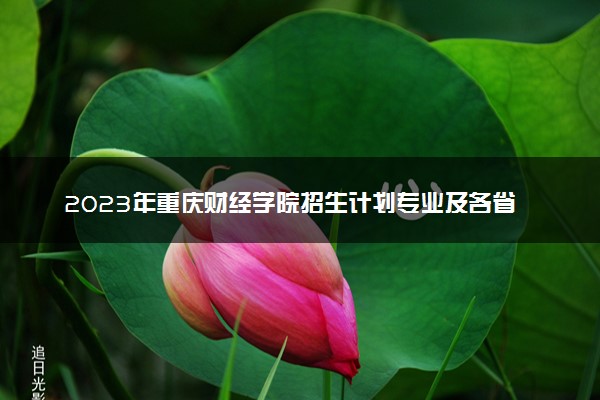 2023年重庆财经学院招生计划专业及各省录取分数线位次