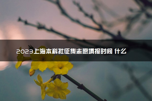 2023上海本科批征集志愿填报时间 什么时候截止