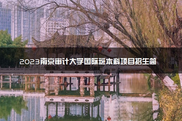 2023南京审计大学国际班本科项目招生简章