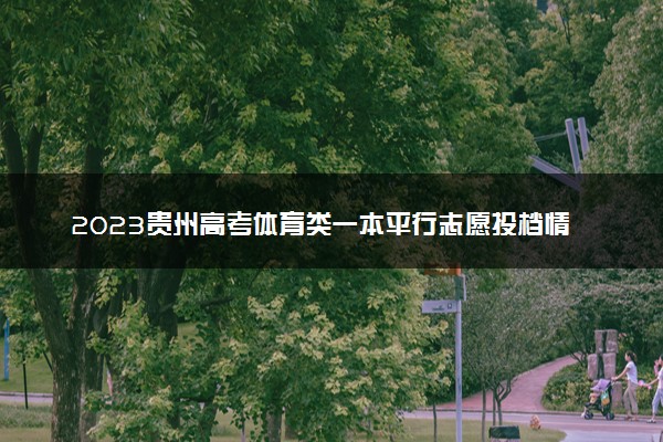 2023贵州高考体育类一本平行志愿投档情况 最低分是多少