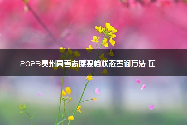 2023贵州高考志愿投档状态查询方法 在哪查