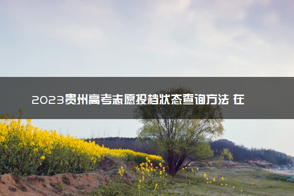 2023贵州高考志愿投档状态查询方法 在哪查