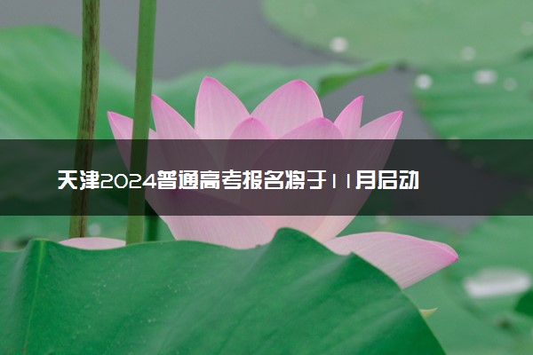天津2024普通高考报名将于11月启动