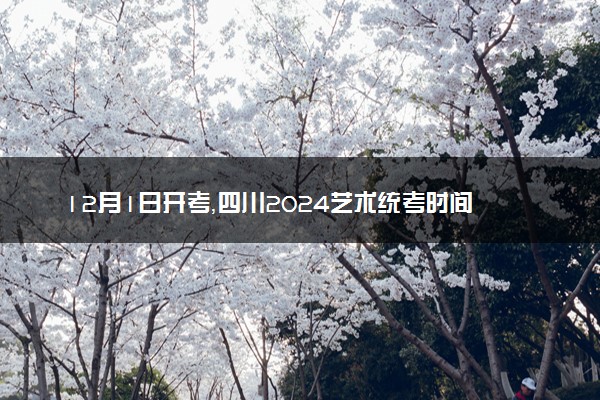 12月1日开考，四川2024艺术统考时间确定