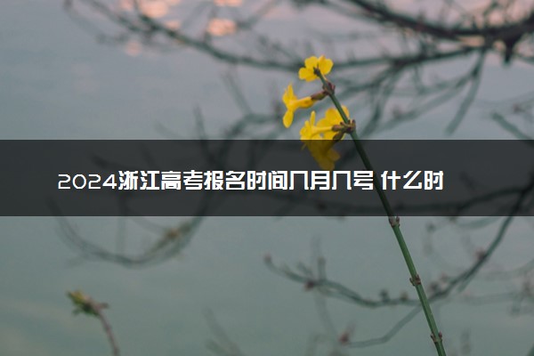 2024浙江高考报名时间几月几号 什么时候截止