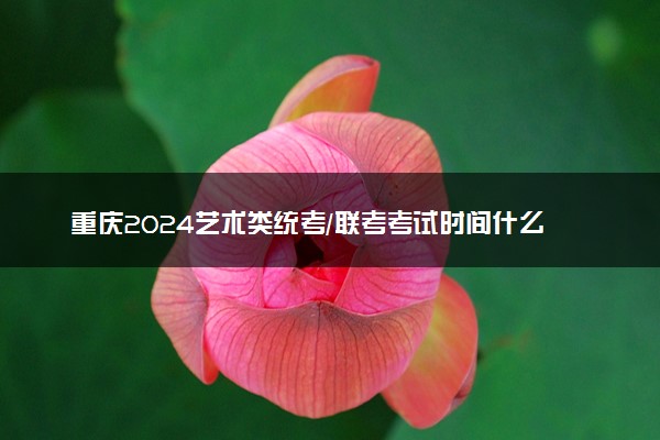 重庆2024艺术类统考/联考考试时间什么时候 哪天考试