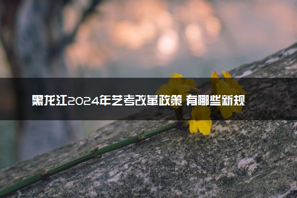 黑龙江2024年艺考改革政策 有哪些新规定