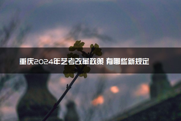 重庆2024年艺考改革政策 有哪些新规定