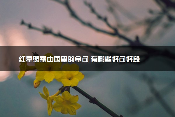 红星照耀中国里的金句 有哪些好句好段
