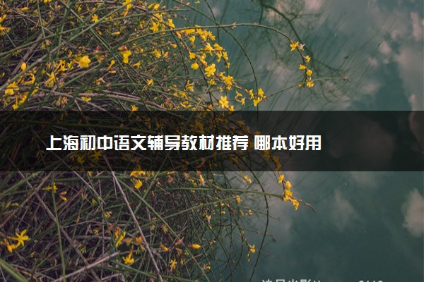 上海初中语文辅导教材推荐 哪本好用