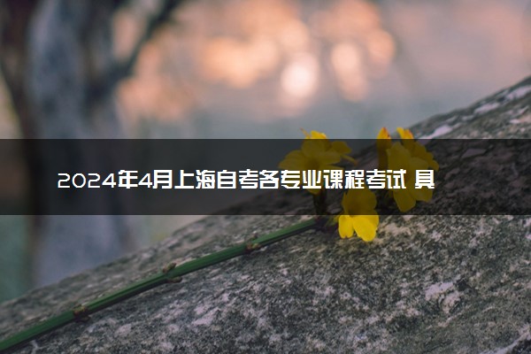 2024年4月上海自考各专业课程考试 具体时间安排