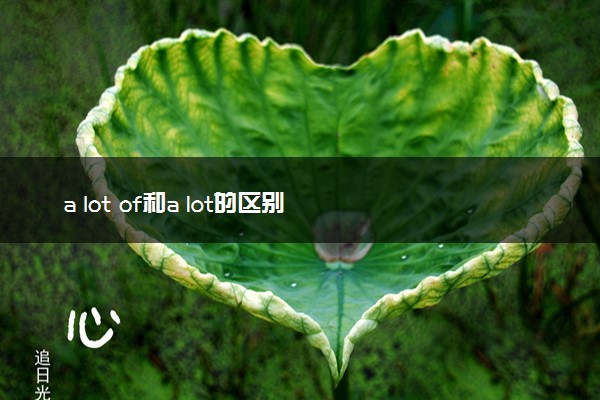 a lot of和a lot的区别