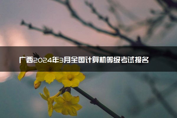 广西2024年3月全国计算机等级考试报名时间 几号截止