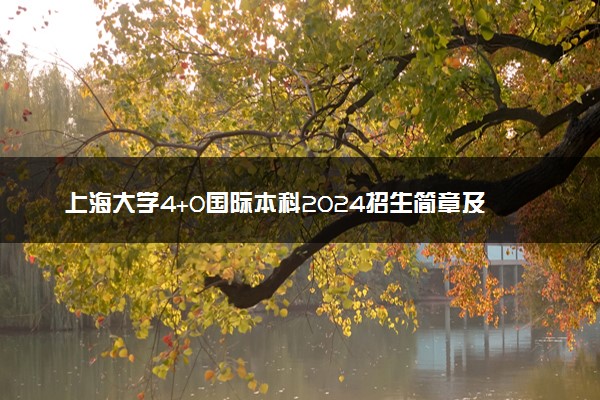 上海大学4+0国际本科2024招生简章及分数