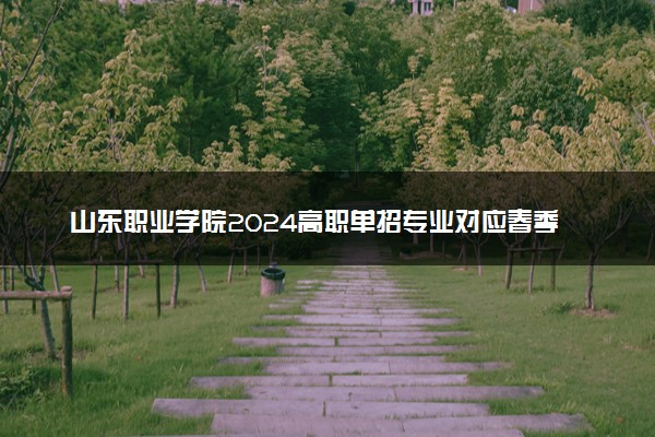 山东职业学院2024高职单招专业对应春季高考专业类别