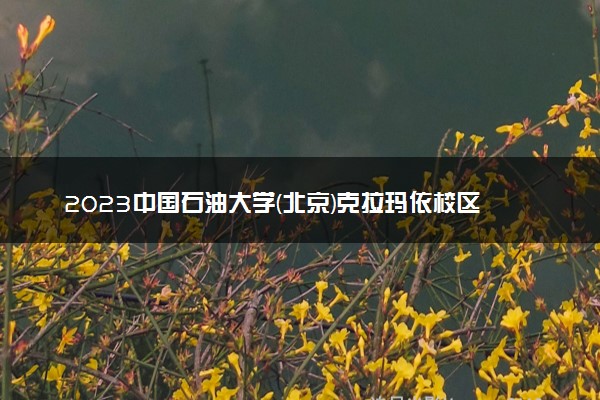 2023中国石油大学(北京)克拉玛依校区各省录取分数线是多少 投档最低分及位次