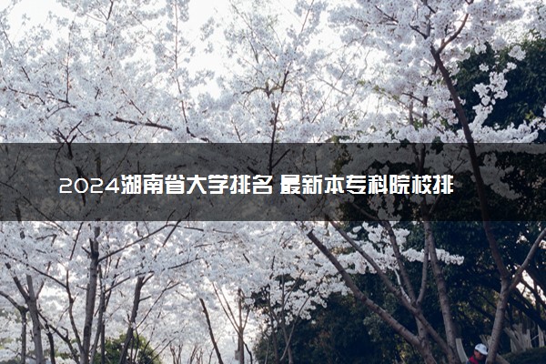2024湖南省大学排名 最新本专科院校排行榜【校友会版】
