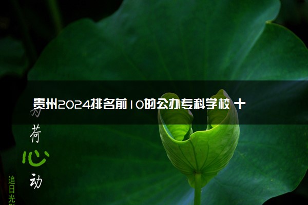 贵州2024排名前10的公办专科学校 十大高职专科院校排行榜