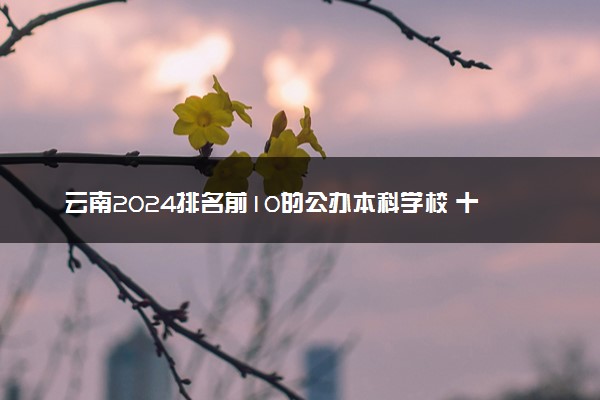 云南2024排名前10的公办本科学校 十大本科院校排行榜