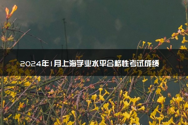 2024年1月上海学业水平合格性考试成绩查询时间及入口