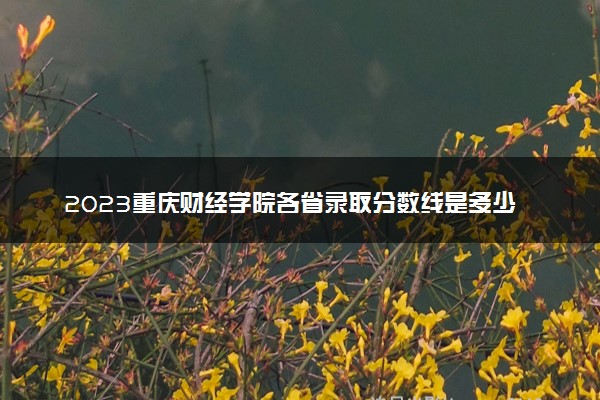 2023重庆财经学院各省录取分数线是多少 投档最低分及位次