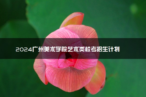 2024广州美术学院艺术类校考招生计划 各专业招多少人