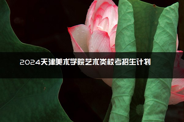 2024天津美术学院艺术类校考招生计划 各专业招多少人