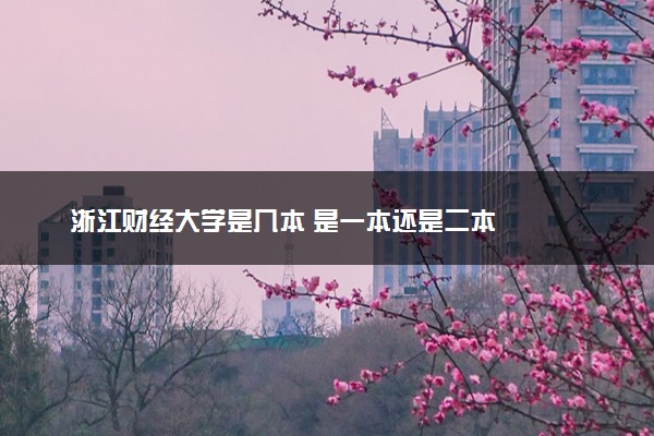 浙江财经大学是几本 是一本还是二本