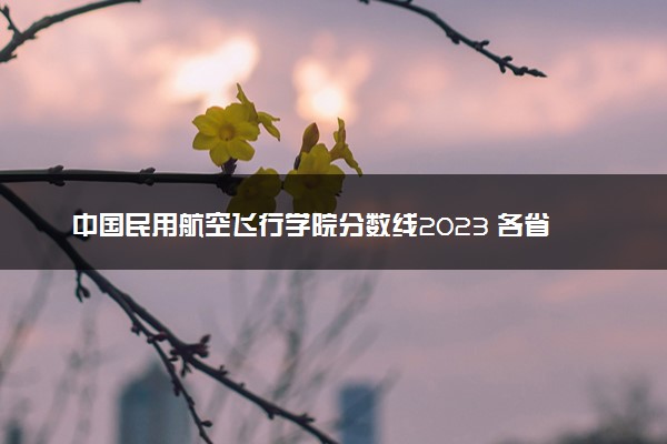 中国民用航空飞行学院分数线2023 各省投档最低分及位次
