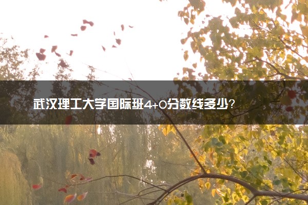 武汉理工大学国际班4+0分数线多少？