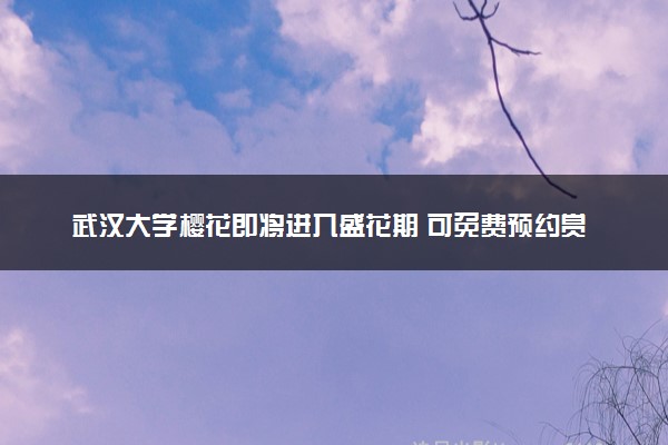 武汉大学樱花即将进入盛花期 可免费预约赏樱