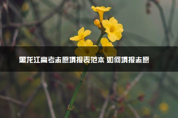 黑龙江高考志愿填报表范本 如何填报志愿