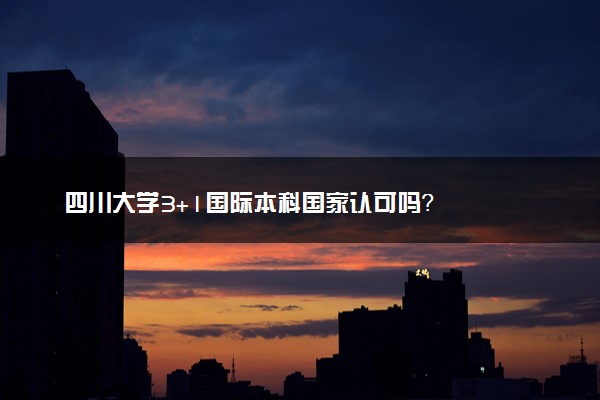 四川大学3+1国际本科国家认可吗？