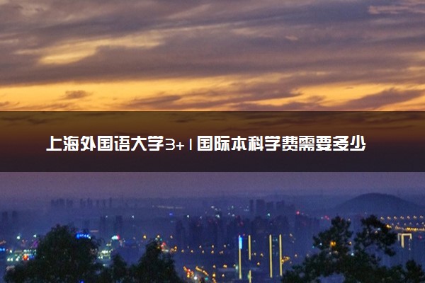 上海外国语大学3+1国际本科学费需要多少钱