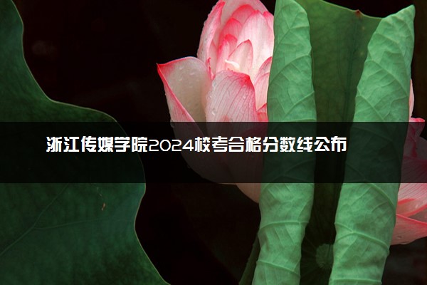 浙江传媒学院2024校考合格分数线公布 各专业分数线汇总